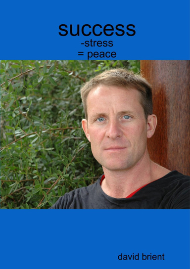 Success - Stress = Peace