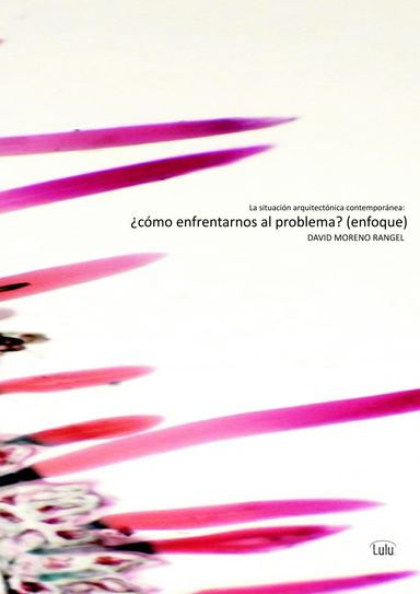 la situación arquitectónica contemporánea: ¿cómo enfrentarse al problema? (enfoque)