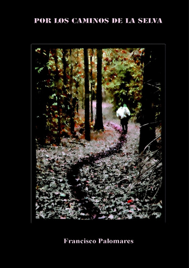 Por los Caminos de la Selva