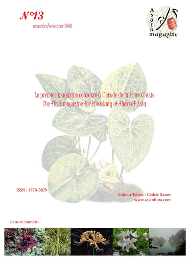 Asarum magazine n°13