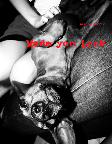 Made you Look