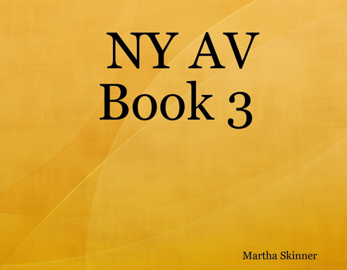 NY AV Book 3