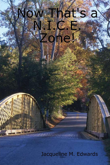Now That's a N.I.C.E. Zone!