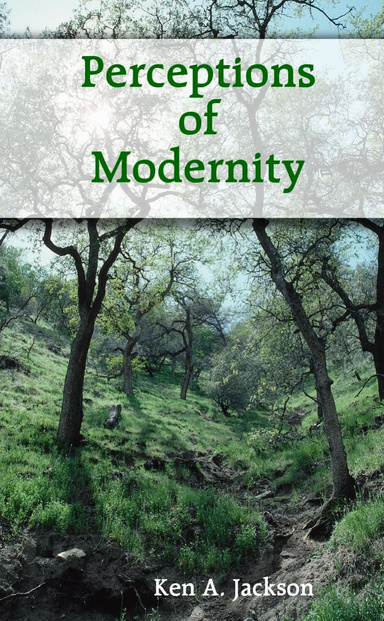 Perceptions of Modernity