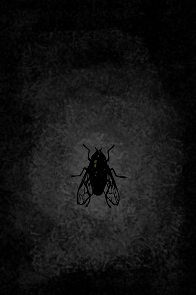 Proyecto de Historias de Terror