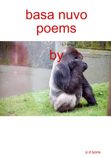 basa nuvo poems