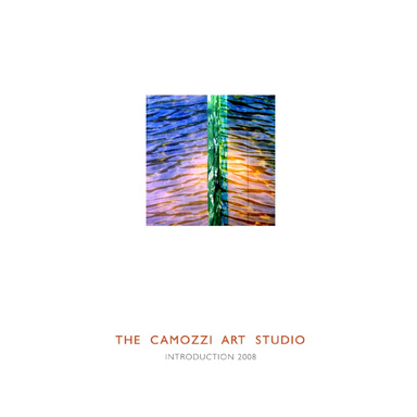 Teresa Camozzi, Introduction 2008