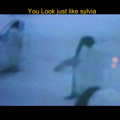 You Look just like sylvia