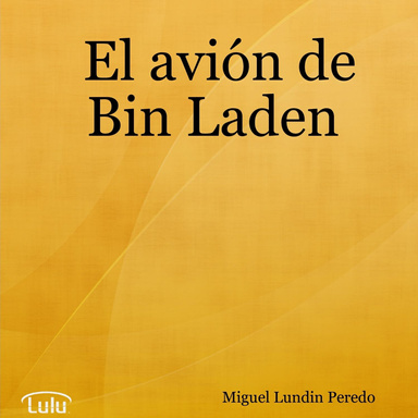 El avión de Bin Laden