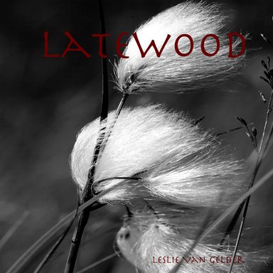 Latewood
