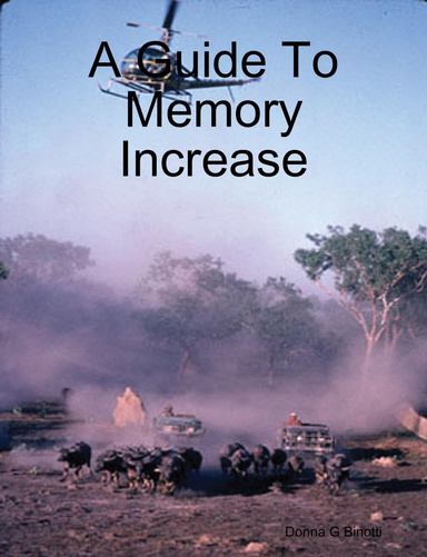 A Guide To Memory Increase