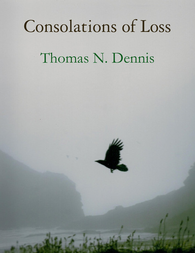 Consolations of Loss