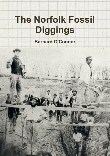 The Norfolk Fossil Diggings