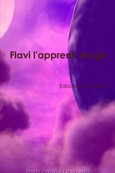 Flavi l'apprenti mage