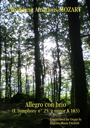 Mozart Symphony 25 Organ Transcription