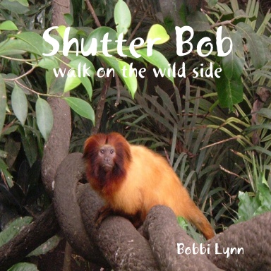 Shutter Bob: Walk on the Wild Side