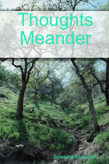 Thoughts Meander