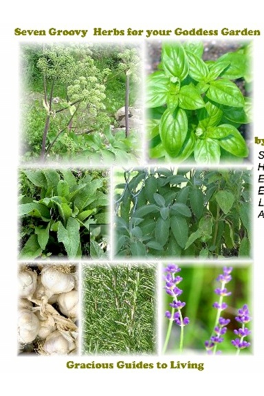 Seven Groovy Herbs for your Goddess Garden