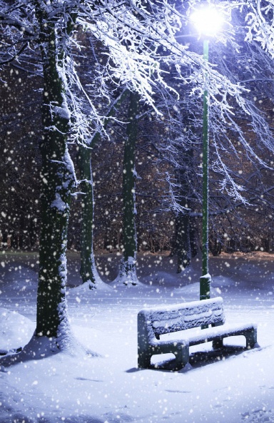 Mock "A Winter Wedding"