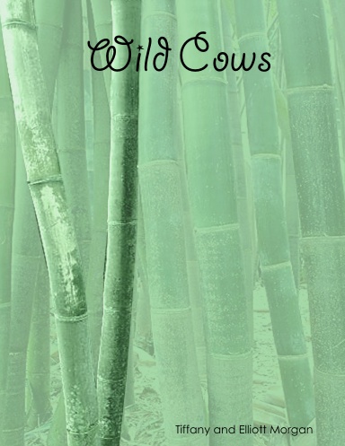 Wild Cows