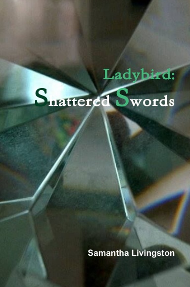 Ladybird: Shattered Swords