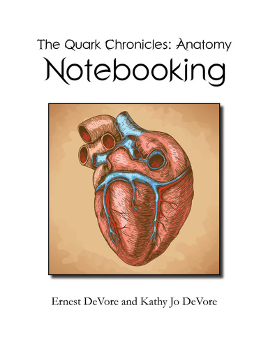Quark Chronicles: Anatomy Notebooking PDF