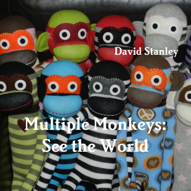 Multiple Monkeys: See the World