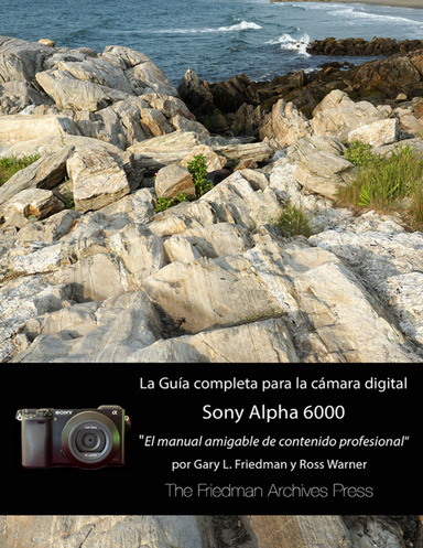 La Guía Completa Para La Cámara Sony A6000