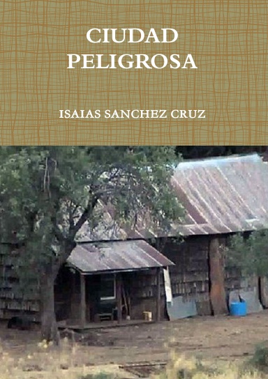 CIUDAD PELIGROSA