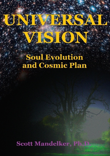Universal Vision: Soul Evolution and Cosmic Plan