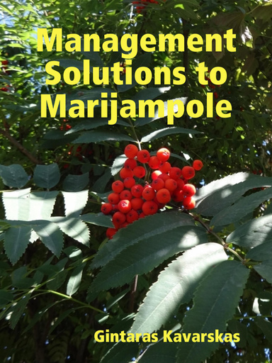 Management Solutions to Marijampole