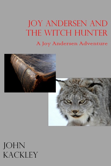 Joy Andersen and the Witch Hunter
