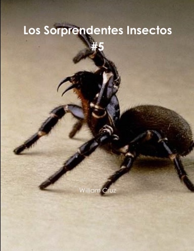 Los Sorprendentes Insectos #5