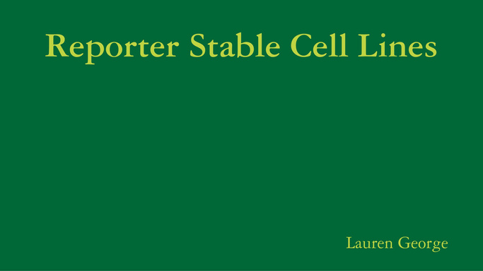 Reporter Stable Cell Lines