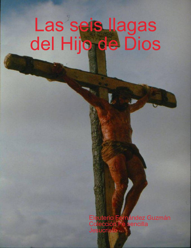 Las seis llagas del Hijo de Dios