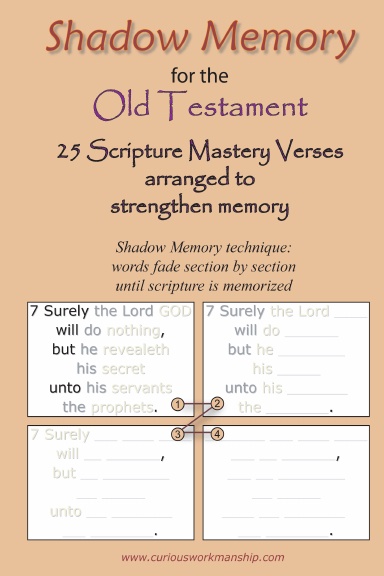 Shadow Memory for the Old Testament