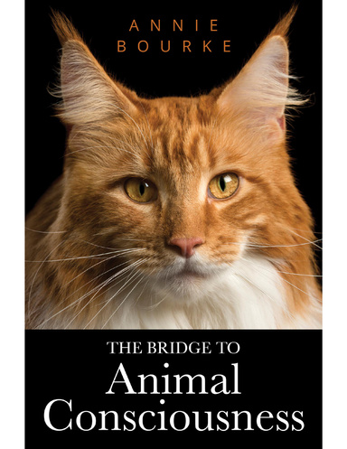 The Bridge to Animal Consciousness