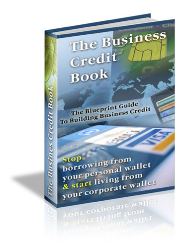 The Business Credit Book