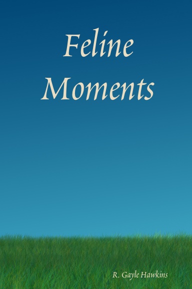 Feline Moments