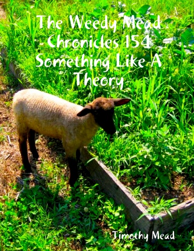 The Weedy Mead Chronicles 154 Something Like A Theory
