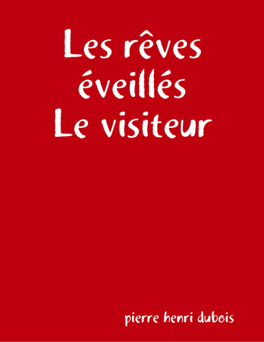 Les rêves éveillés - Le visiteur
