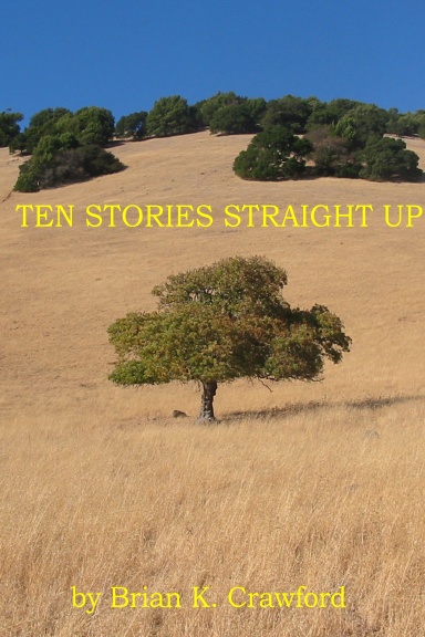 Ten Stories Straight Up