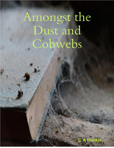 Amongst the Dust and Cobwebs