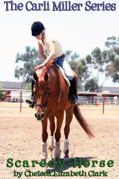The Carli Miller Series - Book One - Scaredy-Horse