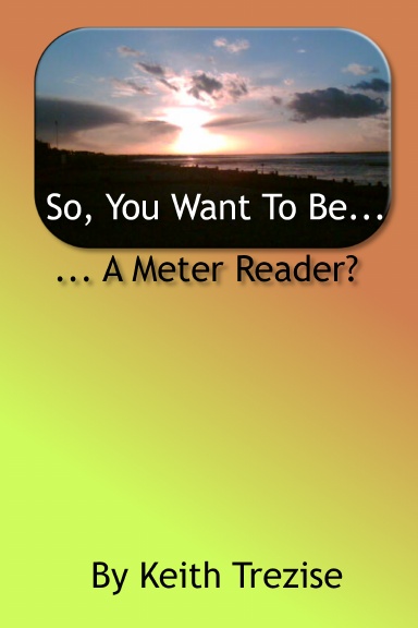 So You Want To Be... a Meter Reader