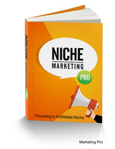 Niche Marketing Pro