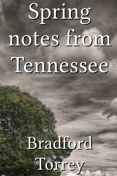Spring notes from Tennessee