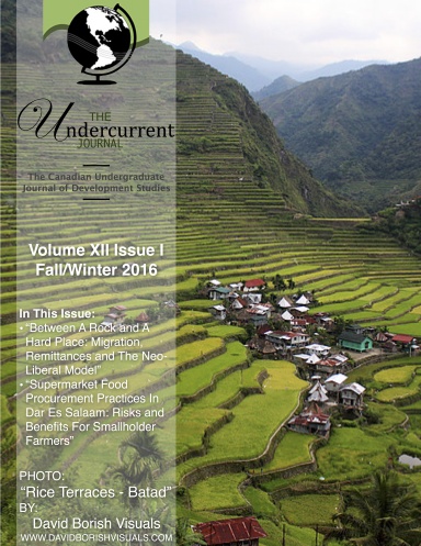 Undercurrent Journal: Vol. 12, Issue 1 (Fall/Winter 2016) [B&W]