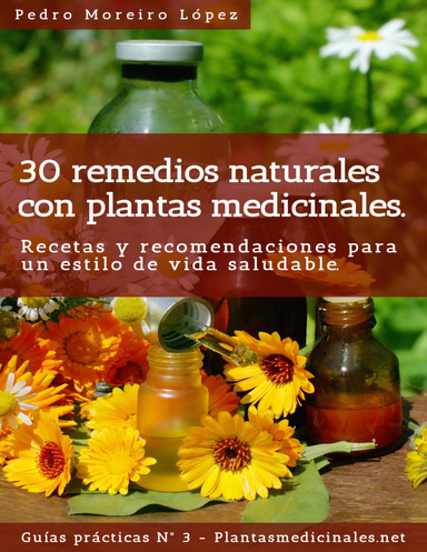 30 remedios naturales con plantas medicinales