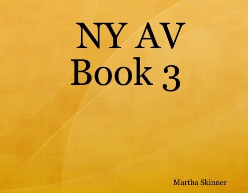 NY AV Book 3